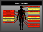 Click to enlarge: Body Diagram